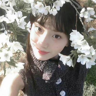 巴瑞第四季 海报